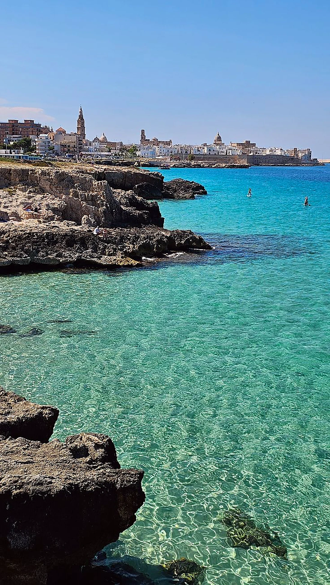 La costa di Monopoli con il centro storico sullo sfondo